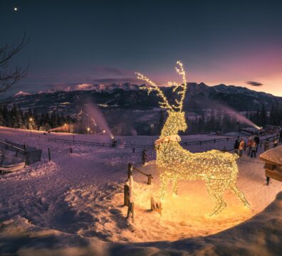 Gubalovka winter Christmas lights